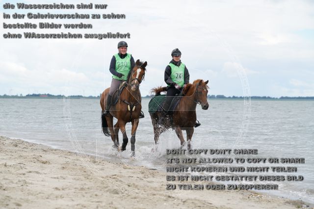 s_K3F04988.JPG